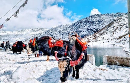 Tsomgo lake, gangtok