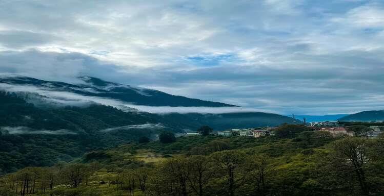 Pelling