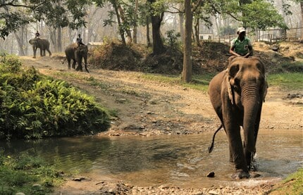 Chitwan nepal